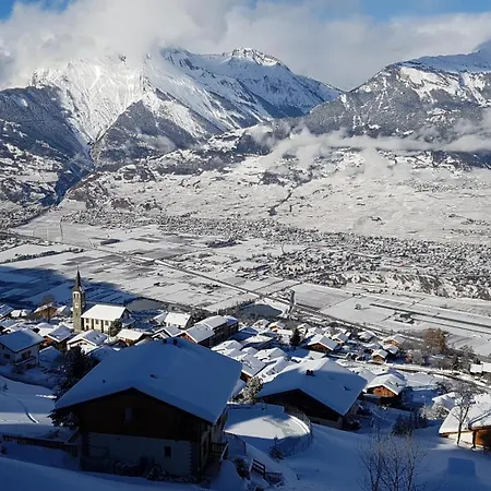 Hortensia H 033 - View 6 Pers *