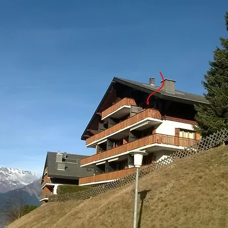 Hortensia H 033 - View 6 Pers *